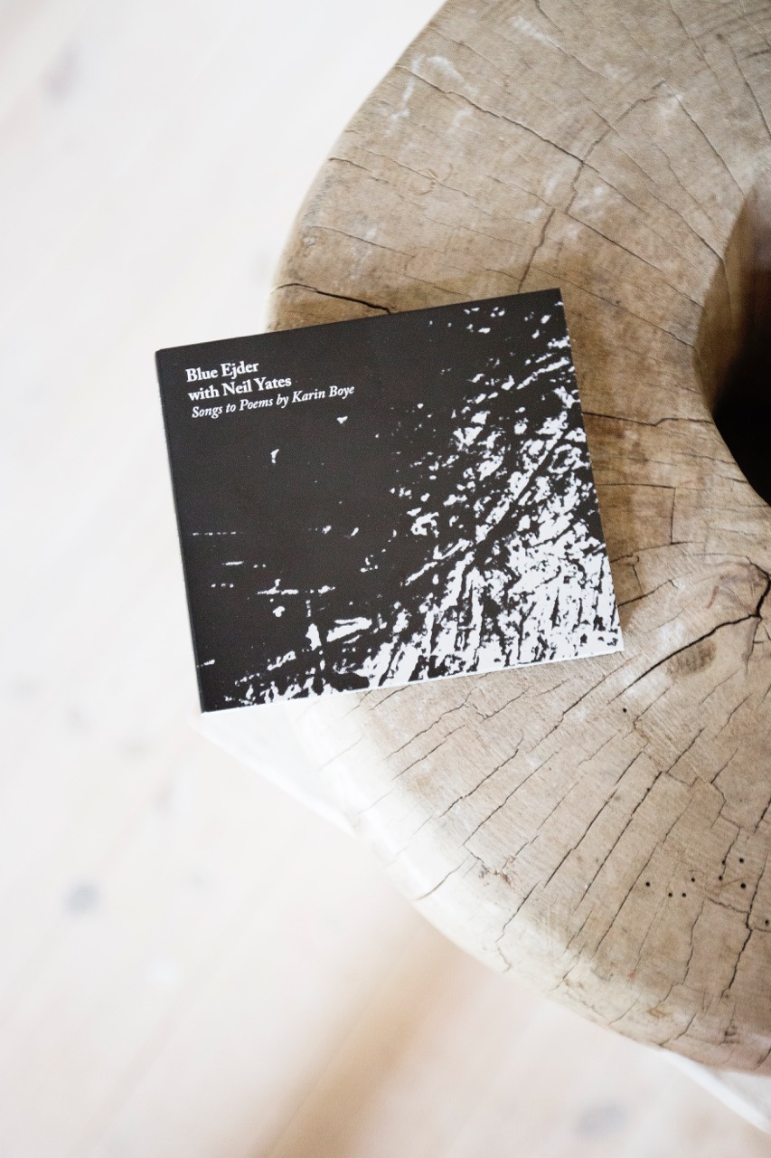 Blue Ejder CD cover