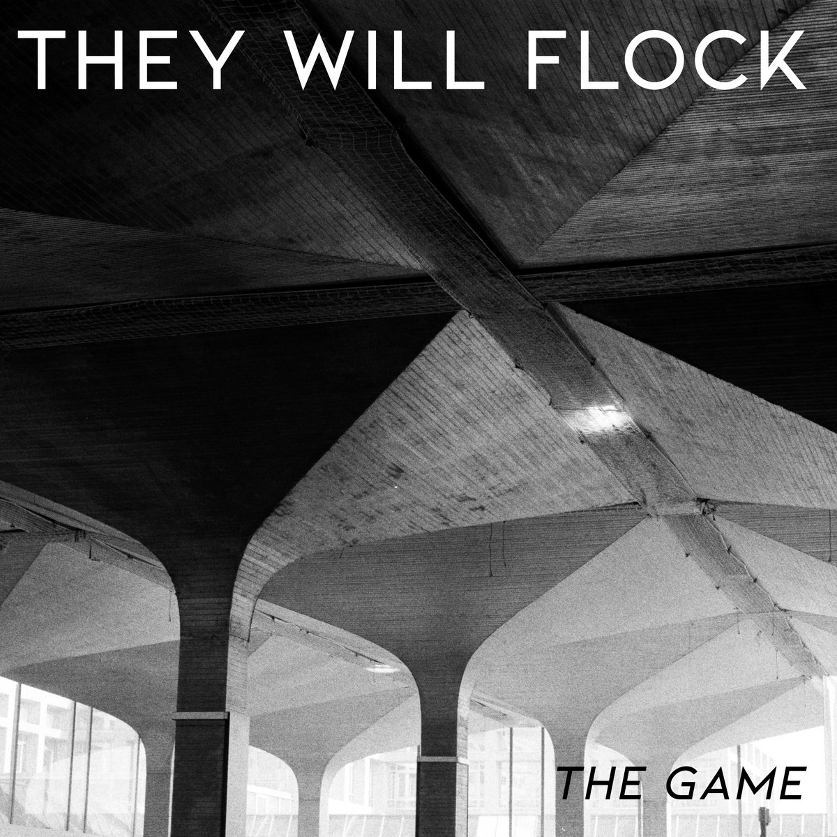 They Will Flock album cover